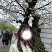 ヒメ日記 2026/04/05 15:00 投稿 小山そら MIRAI TOKYO 六本木店