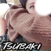 TSUBAKI 次回19日 さくらん東京