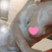 ヒメ日記 2025/08/24 16:17 投稿 アズ スイカ