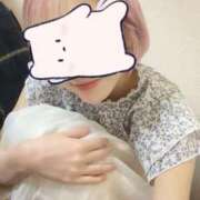 ヒメ日記 2025/04/17 15:59 投稿 りりあ Number Five 品川（シンデレラグループ）