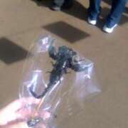 ヒメ日記 2025/06/07 15:48 投稿 めあ マリン宇都宮店