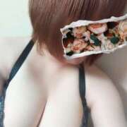 ヒメ日記 2025/09/03 00:30 投稿 雨音美紗 五十路マダム 浜松店(カサブランカグループ)