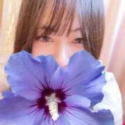 ヒメ日記 2025/04/04 15:18 投稿 りん 池袋人妻城