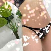 ヒメ日記 2025/06/11 21:21 投稿 工藤 ちかこ HANA-okinawa-