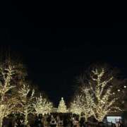 ヒメ日記 2024/12/20 11:50 投稿 さくら 制服天国（ユメオト）