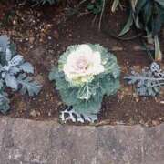 ヒメ日記 2025/02/16 22:49 投稿 あずさ 池袋人妻城