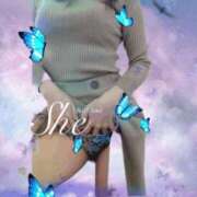 ヒメ日記 2025/03/12 23:48 投稿 あずさ 池袋人妻城