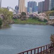 ヒメ日記 2025/04/08 14:48 投稿 あずさ 池袋人妻城