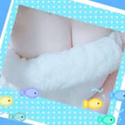 ヒメ日記 2025/04/14 20:12 投稿 ほなみ メガ豚