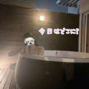 ヒメ日記 2025/07/08 00:19 投稿 夜空なぎさ ウルトラハピネス