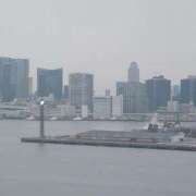 ヒメ日記 2025/03/08 16:47 投稿 せいか 完熟ばなな 上野店