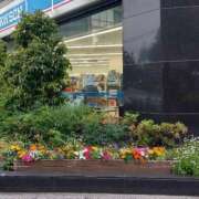 ヒメ日記 2025/05/09 15:00 投稿 せいか 完熟ばなな 上野店