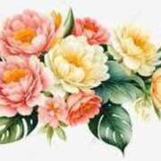 ヒメ日記 2024/12/21 16:21 投稿 るみ 待ちナビ