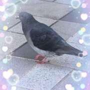 ヒメ日記 2025/04/13 11:55 投稿 るみ 待ちナビ