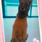 ヒメ日記 2025/04/13 15:55 投稿 るみ 待ちナビ