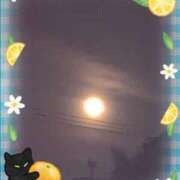 ヒメ日記 2025/05/13 22:05 投稿 るみ 待ちナビ