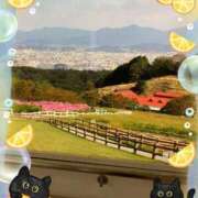 ヒメ日記 2025/05/20 11:35 投稿 るみ 待ちナビ