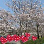 ヒメ日記 2026/04/08 15:30 投稿 るみ 待ちナビ