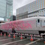 ヒメ日記 2026/04/14 13:15 投稿 るみ 待ちナビ