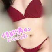 ヒメ日記 2025/05/20 18:09 投稿 みほ スピードエコ日本橋店