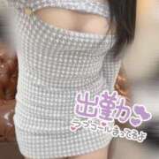 ヒメ日記 2025/12/01 14:59 投稿 みほ スピードエコ日本橋店