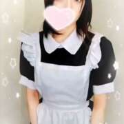 ヒメ日記 2024/12/15 14:02 投稿 ねこ【品性溢れるドM美女】 STELLA TOKYO-ステラトウキョウ-