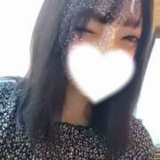 ヒメ日記 2024/12/17 18:05 投稿 ねこ【品性溢れるドM美女】 STELLA TOKYO－ステラトウキョウ－