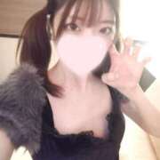 ヒメ日記 2024/12/19 04:53 投稿 ねこ【品性溢れるドM美女】 STELLA TOKYO－ステラトウキョウ－