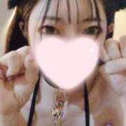 ヒメ日記 2024/12/20 01:03 投稿 ねこ【品性溢れるドM美女】 STELLA TOKYO－ステラトウキョウ－