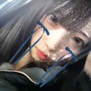 ヒメ日記 2024/12/22 15:07 投稿 ねこ【品性溢れるドM美女】 STELLA TOKYO－ステラトウキョウ－