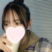 ヒメ日記 2025/01/06 00:21 投稿 ねこ【品性溢れるドM美女】 STELLA TOKYO－ステラトウキョウ－