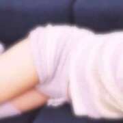 ヒメ日記 2025/01/12 15:52 投稿 ねこ【品性溢れるドM美女】 STELLA TOKYO－ステラトウキョウ－