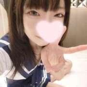 ヒメ日記 2025/01/19 19:31 投稿 ねこ【品性溢れるドM美女】 STELLA TOKYO－ステラトウキョウ－