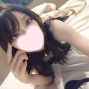 ヒメ日記 2025/01/20 11:41 投稿 ねこ【品性溢れるドM美女】 STELLA TOKYO－ステラトウキョウ－