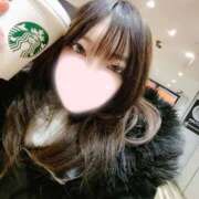 ヒメ日記 2025/01/21 18:06 投稿 ねこ【品性溢れるドM美女】 STELLA TOKYO－ステラトウキョウ－