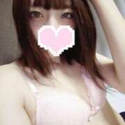 ヒメ日記 2025/02/05 19:17 投稿 ねこ【品性溢れるドM美女】 STELLA TOKYO－ステラトウキョウ－