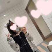 ヒメ日記 2025/02/06 23:32 投稿 ねこ【品性溢れるドM美女】 STELLA TOKYO－ステラトウキョウ－