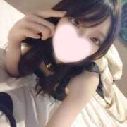 ヒメ日記 2025/02/08 16:15 投稿 ねこ【品性溢れるドM美女】 STELLA TOKYO－ステラトウキョウ－