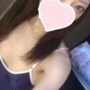 ヒメ日記 2025/02/14 14:51 投稿 ねこ【品性溢れるドM美女】 STELLA TOKYO－ステラトウキョウ－