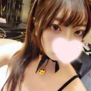 ヒメ日記 2025/02/16 11:13 投稿 ねこ【品性溢れるドM美女】 STELLA TOKYO－ステラトウキョウ－