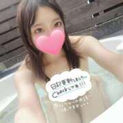 ヒメ日記 2025/02/18 21:37 投稿 ねこ【品性溢れるドM美女】 STELLA TOKYO－ステラトウキョウ－