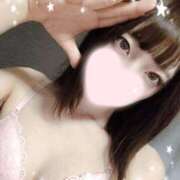 ヒメ日記 2025/02/19 22:06 投稿 ねこ【品性溢れるドM美女】 STELLA TOKYO－ステラトウキョウ－