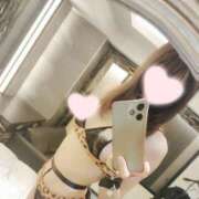 ヒメ日記 2025/03/01 11:50 投稿 ねこ【品性溢れるドM美女】 STELLA TOKYO－ステラトウキョウ－