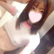 ヒメ日記 2025/03/01 14:33 投稿 ねこ【品性溢れるドM美女】 STELLA TOKYO－ステラトウキョウ－