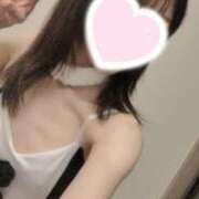 ヒメ日記 2025/03/11 14:50 投稿 ねこ【品性溢れるドM美女】 STELLA TOKYO－ステラトウキョウ－