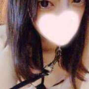 ヒメ日記 2025/03/13 19:29 投稿 ねこ【品性溢れるドM美女】 STELLA TOKYO－ステラトウキョウ－