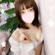 ヒメ日記 2025/03/19 17:03 投稿 ねこ【品性溢れるドM美女】 STELLA TOKYO－ステラトウキョウ－