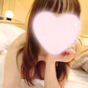 ヒメ日記 2025/03/27 22:02 投稿 ねこ【品性溢れるドM美女】 STELLA TOKYO－ステラトウキョウ－