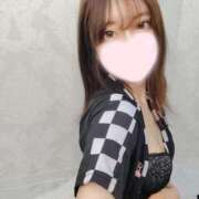 ヒメ日記 2025/03/29 17:32 投稿 ねこ【品性溢れるドM美女】 STELLA TOKYO－ステラトウキョウ－