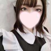 ヒメ日記 2025/03/31 21:05 投稿 ねこ【品性溢れるドM美女】 STELLA TOKYO－ステラトウキョウ－